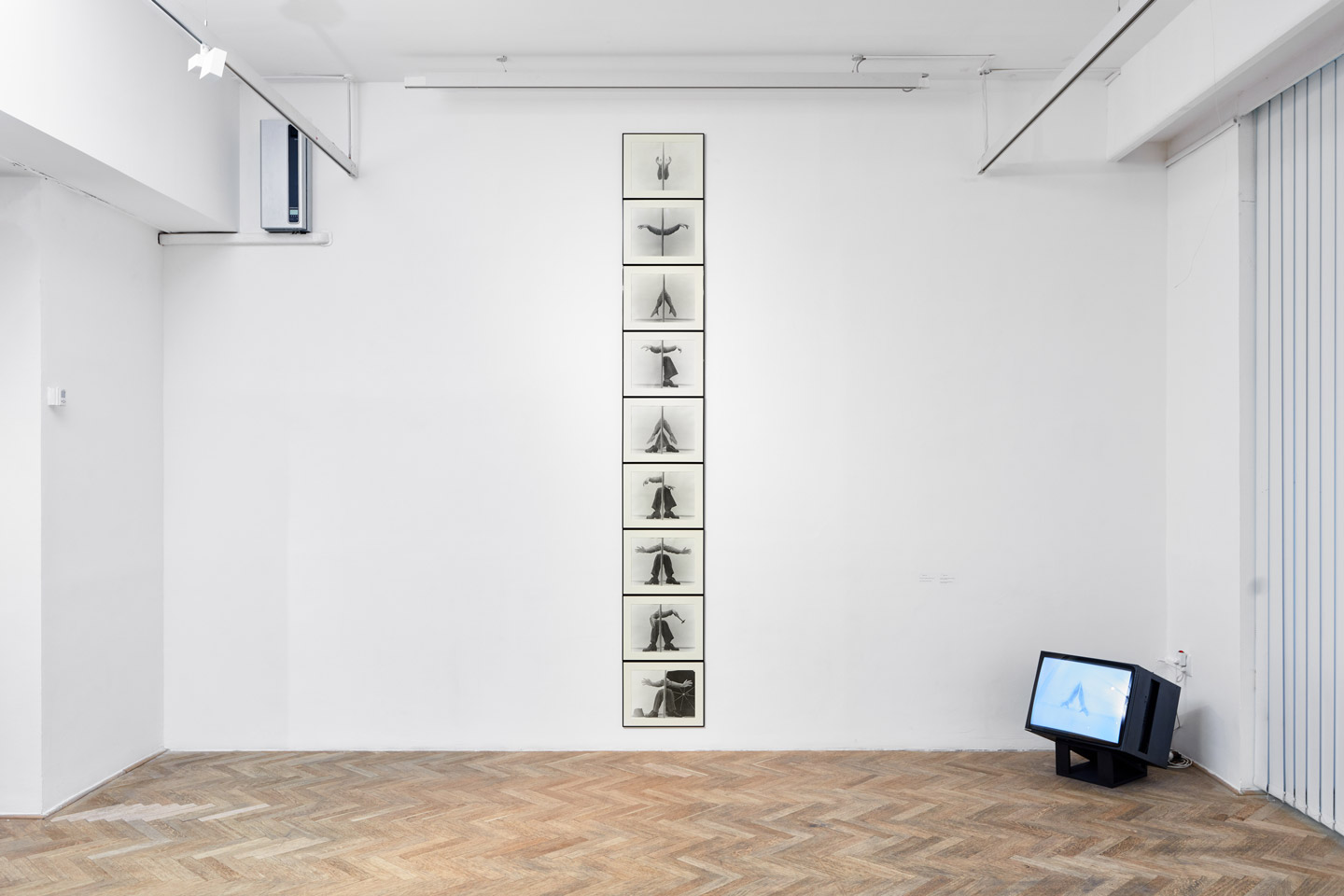 Geza Perneczky Five Books