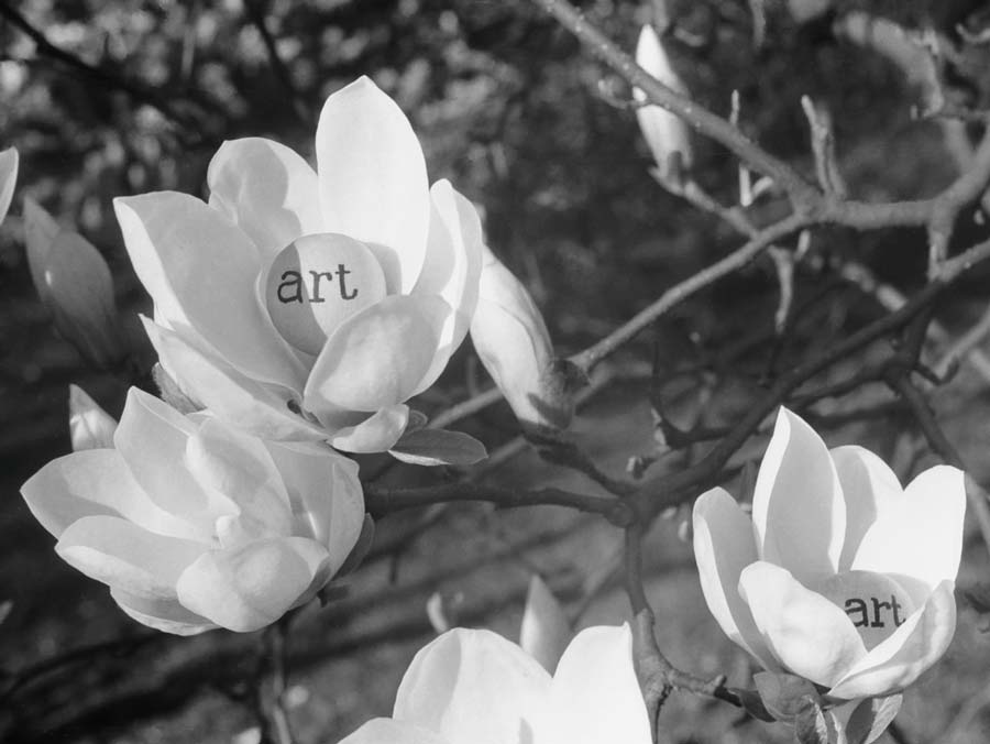 Geza Perneczky Art Balls Magnolia