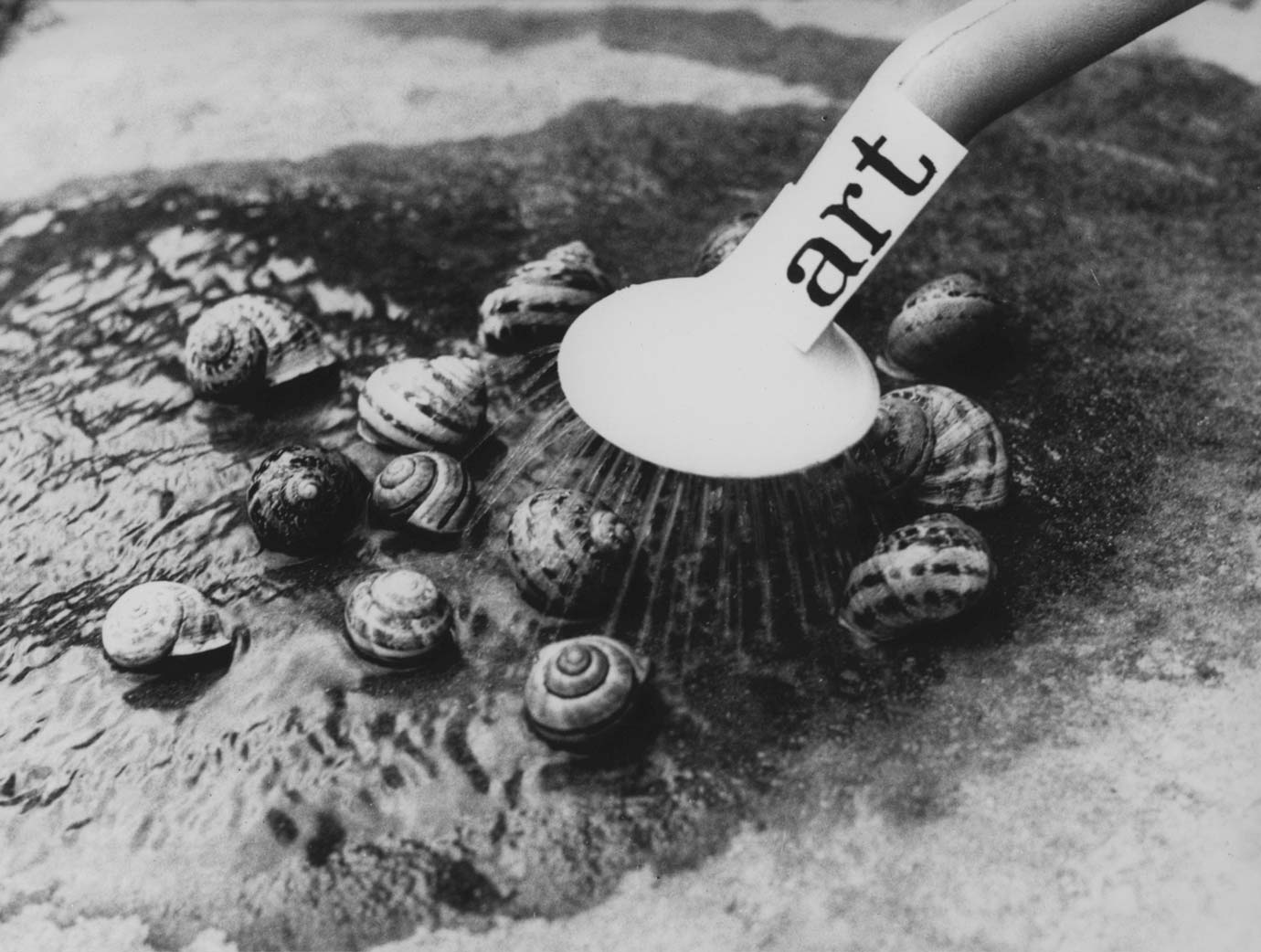 Geza Perneczky Snail Action